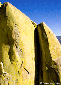 MichaelReardon-Corso-Cover_2482.gif \