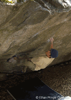 Pringle-PB4-dominator_2512.gif None