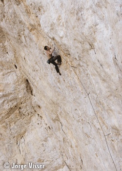 Pringle-PB8-Visser_2513.gif PRO BLOGS - \
