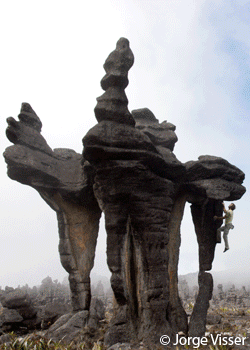 ReelRockTour07-Covershow2_2521.gif The NEW Film KING LINES - Chris Sharma's Search for the Planet's Greatest Climbs - The 2007 REEL ROCK Film Tour hits over 60 locations across the…