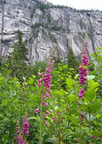 RocTrip 2005 Update 1