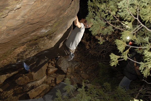 roynewmex07-08_10135.jpg None