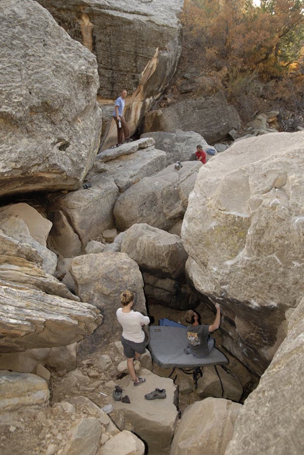 roynewmex07-15_10141.jpg None