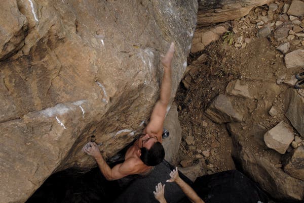 roynewmex07-24_10150.jpg None