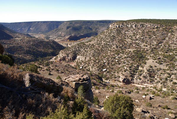 roynewmex07-30_10156.jpg None