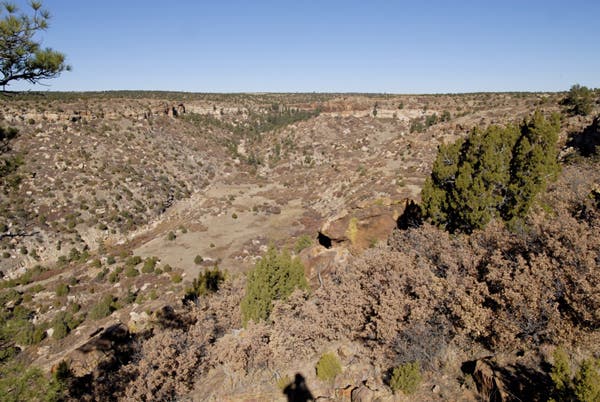 roynewmex07-31_10157.jpg None