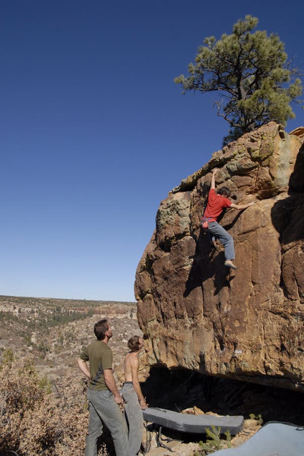 roynewmex07-39_10165.jpg None