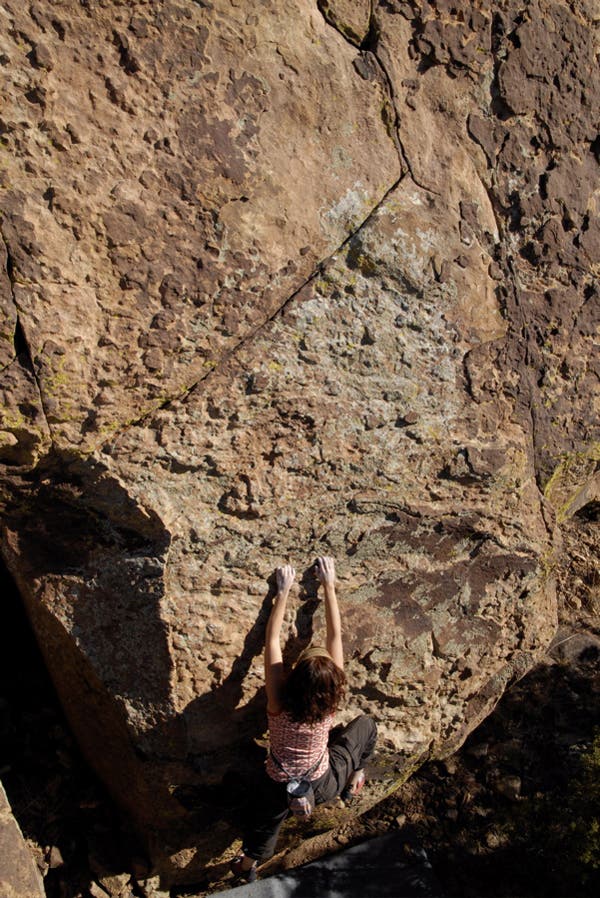 roynewmex07-53_10179.jpg None