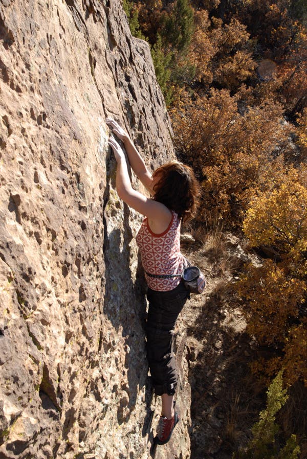 roynewmex07-54_10180.jpg None