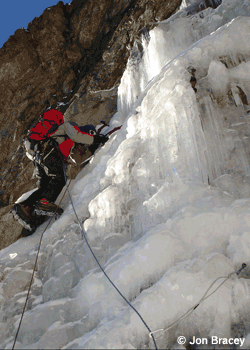 snottysgully_2538.gif None