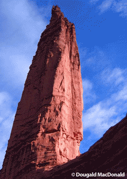 sundevil_2544.gif None