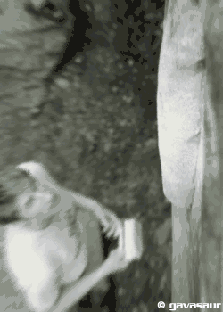 taylorsfalls_2547.gif None