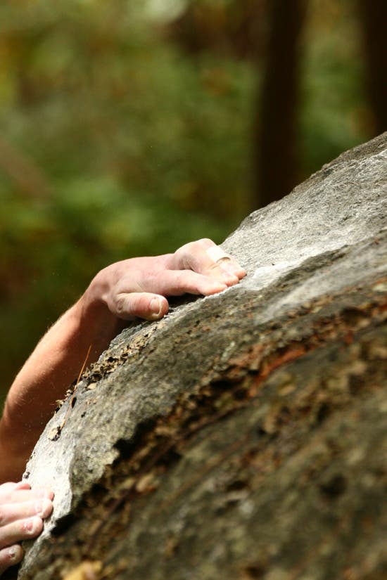 TC06-Houndears_0684_4540.jpg © Photos by Brian Burnham - www.cirquevideo.com