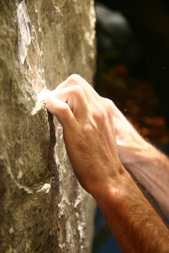 TC06-Houndears_0705_4545.jpg © Photos by Brian Burnham - www.cirquevideo.com