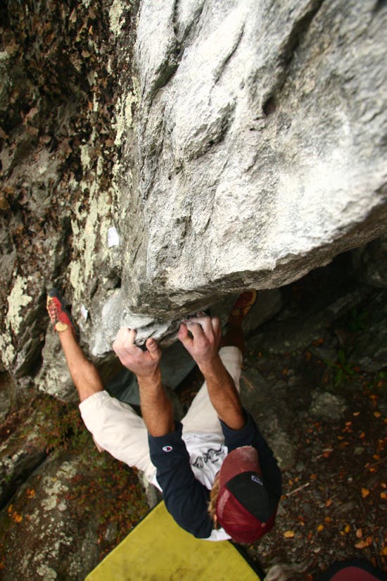 TC06-Houndears_0798_4572.jpg © Photos by Brian Burnham - www.cirquevideo.com