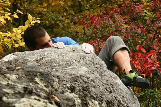 TC06-Houndears_0826_4579.jpg © Photos by Brian Burnham - www.cirquevideo.com