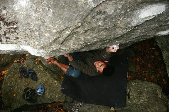 TC06-Houndears_0830_4580.jpg © Photos by Brian Burnham - www.cirquevideo.com