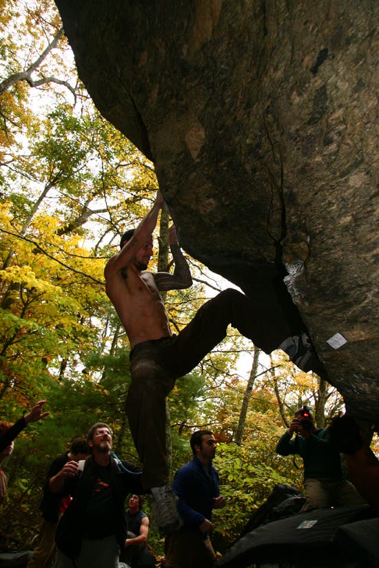 TC06-Houndears_0890_4589.jpg © Photos by Brian Burnham - www.cirquevideo.com