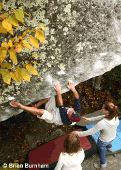 TC06-Houndears_2548.gif None