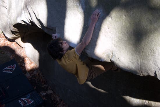 TC06-LRC-0101_10528.jpg None