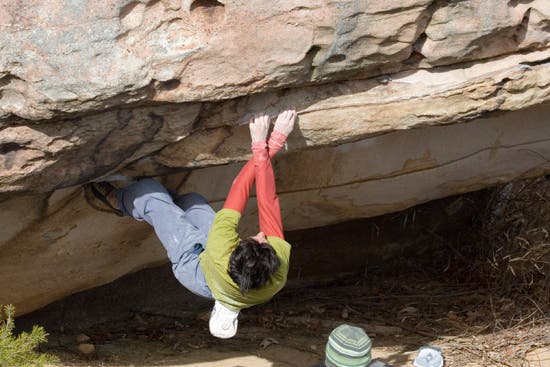 TC06-LRC-0171-1_10563.jpg None