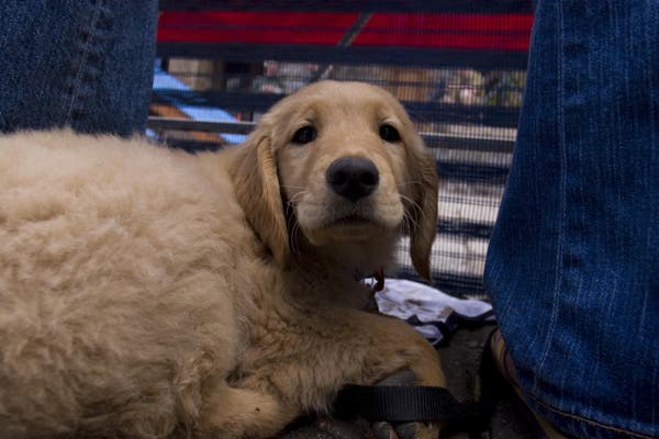  © Photo by Devaki Murch