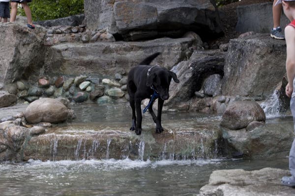  © Photo by Devaki Murch