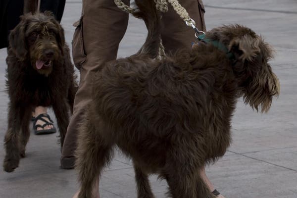  © Photo by Devaki Murch