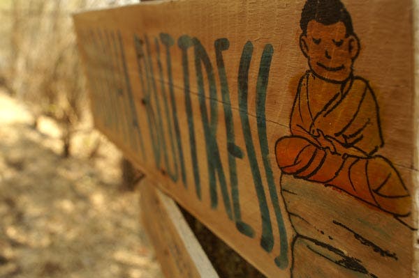 Thailand Chiang Mai - Crazy Horse Butre None