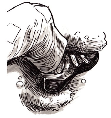 The Heel-Toe Cam The Heel-Toe Cam