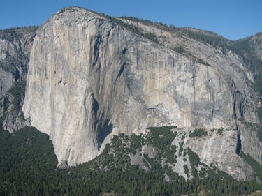 The Life of Warren The Life of Warren \