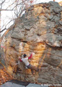 Tom-Bionic-Rats-Rocktown_2559.gif None