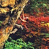wheater_sq_10919.jpg None