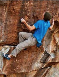 Whispers of Wisdom Whispers of Wisdom