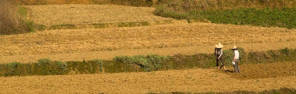 Yangshuo ws-121_9467.jpg None