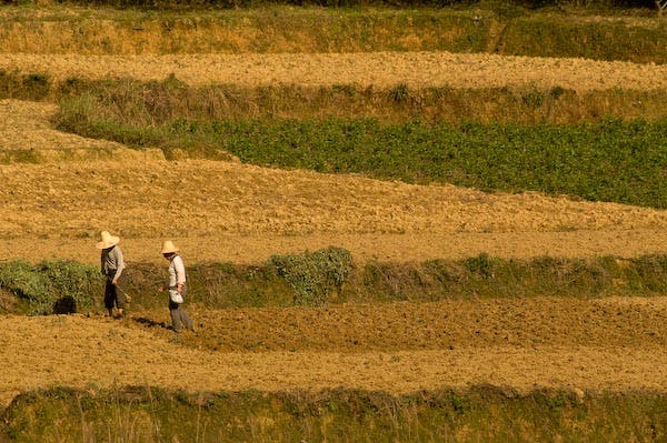 Yangshuo ws-122_9468.jpg None