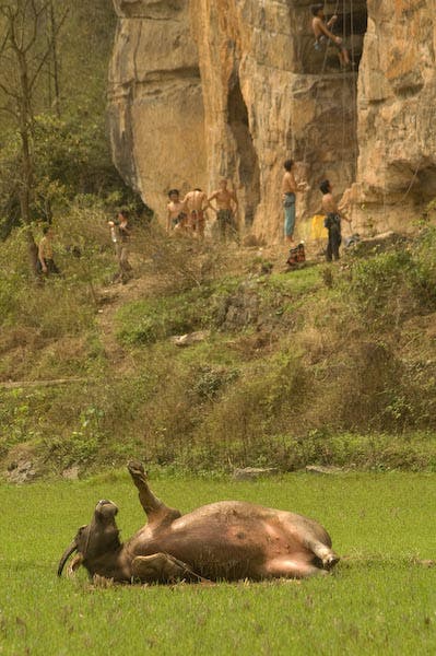 Yangshuo ws-88_9511.jpg None
