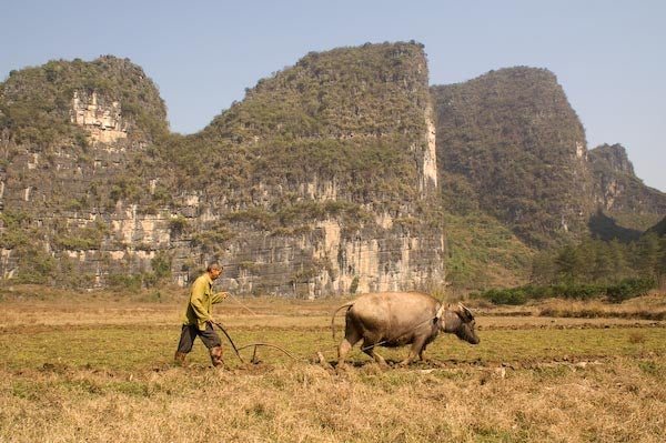 Yangshuo ws-8_9508.jpg None
