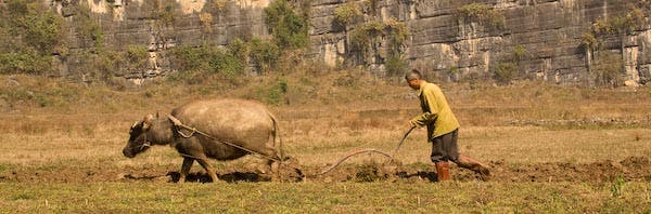 Yangshuo ws-9_9513.jpg None