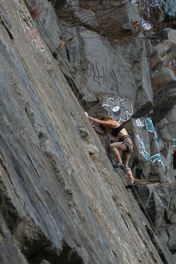 Quincy-Quarries-Palm_35857 None