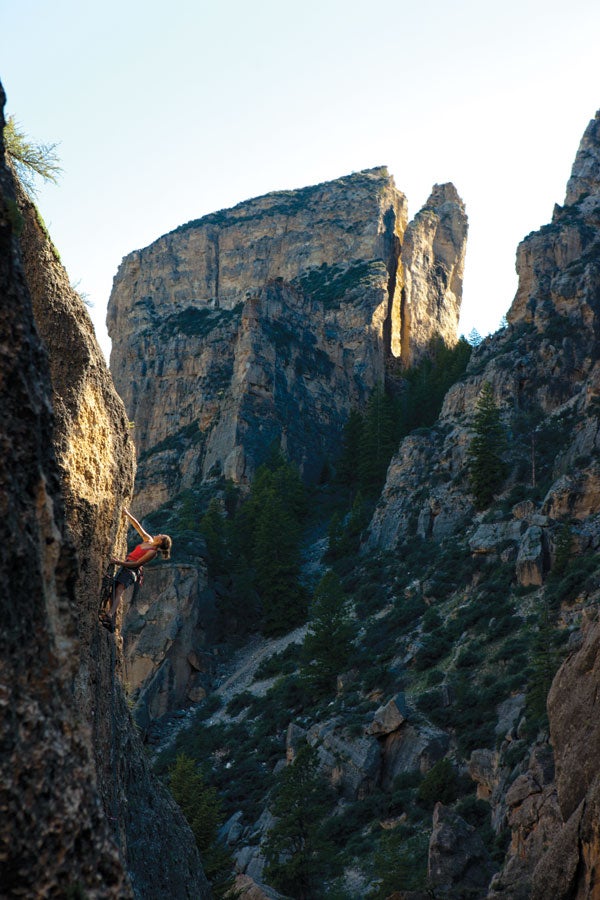 Christine-Sjoquist-Hunting-Wolverines Christine-Sjoquist-Hunting-Wolverines