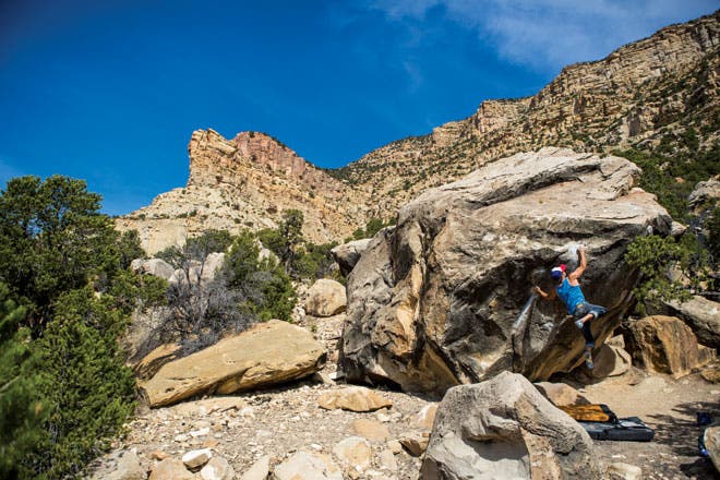 Scott-Hall-Chips-660