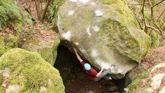 Chris-Schulte-Realist