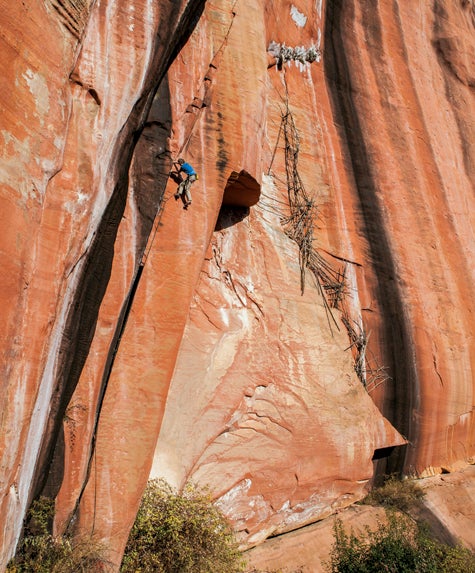 Will-Stanhop-Di-Dong-Crack-475 Will-Stanhop-Di-Dong-Crack
