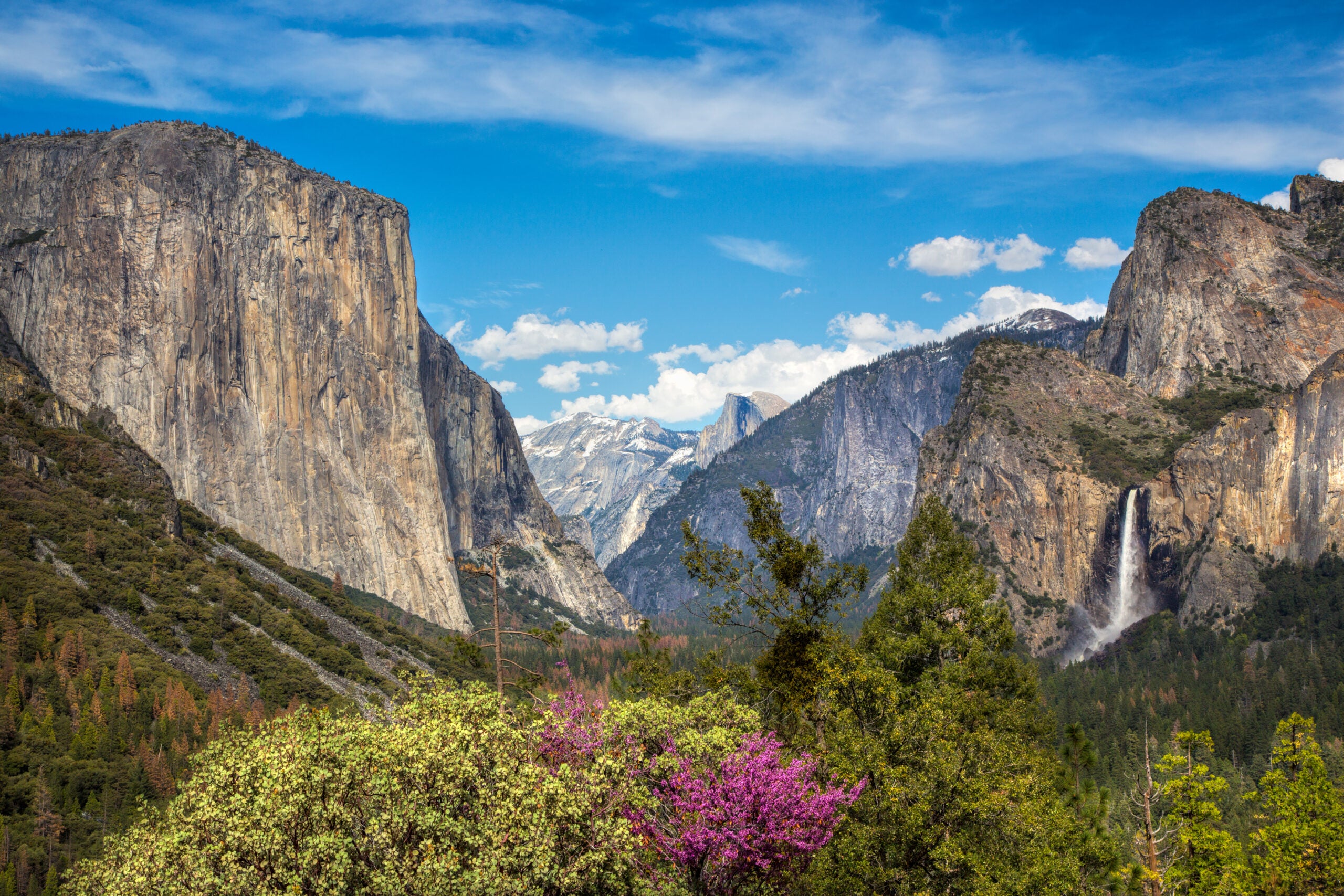 Yosemite Bear Gear Clearance - Yosemite National Park Tours & Activities