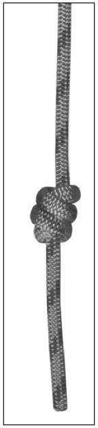 Double fisherman's stopper knot.