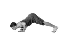 Dolpine-Pushup-Circuit-300