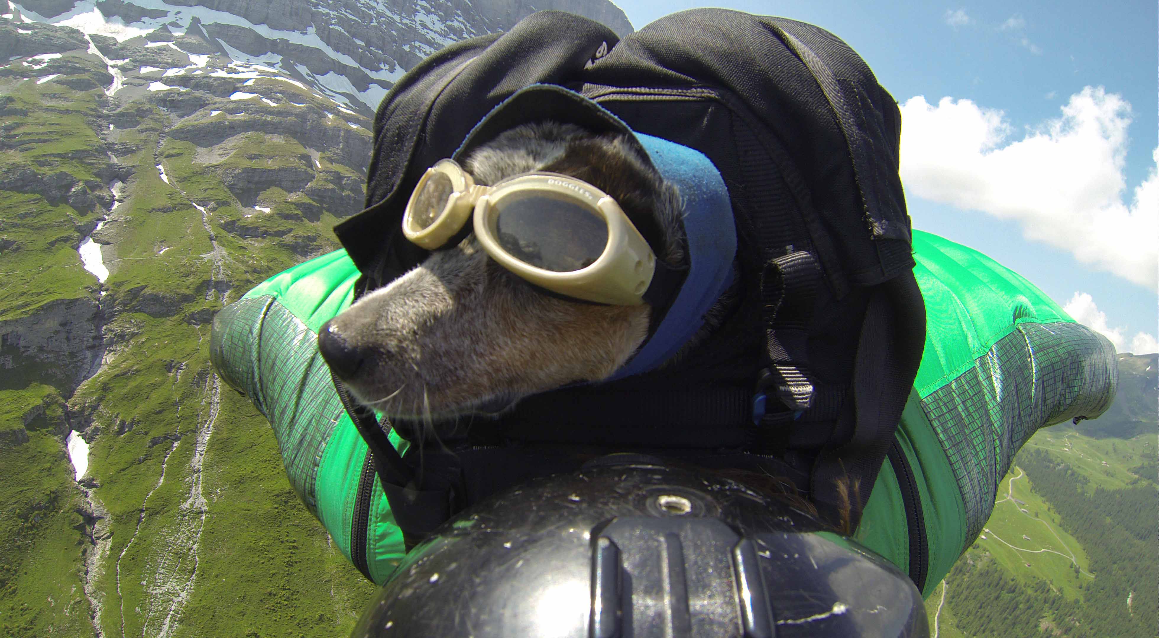 Interview Dean Potter Talks BASE Jumping Dogs And Learning To