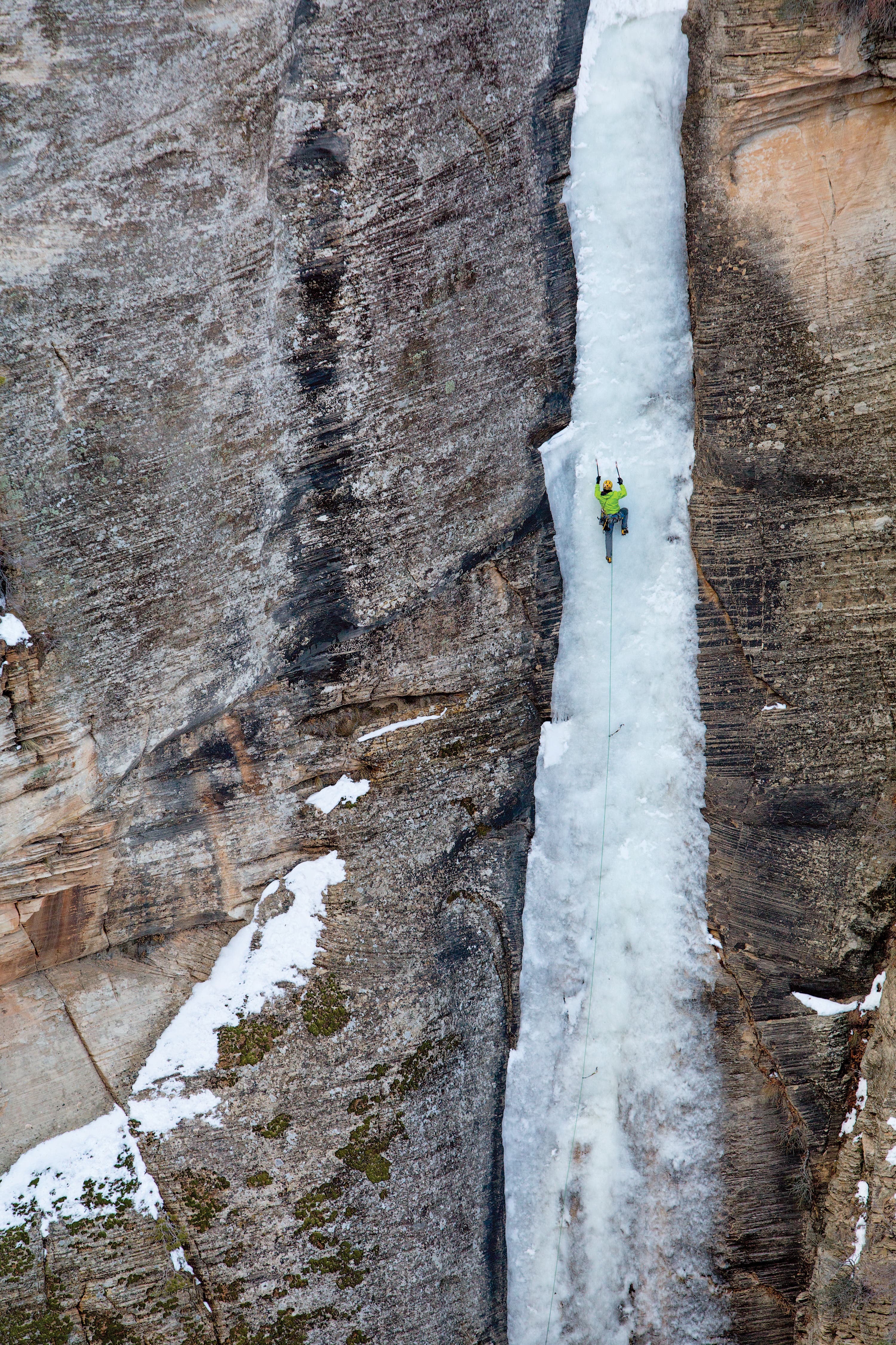 burr021014_081_gn.jpg None