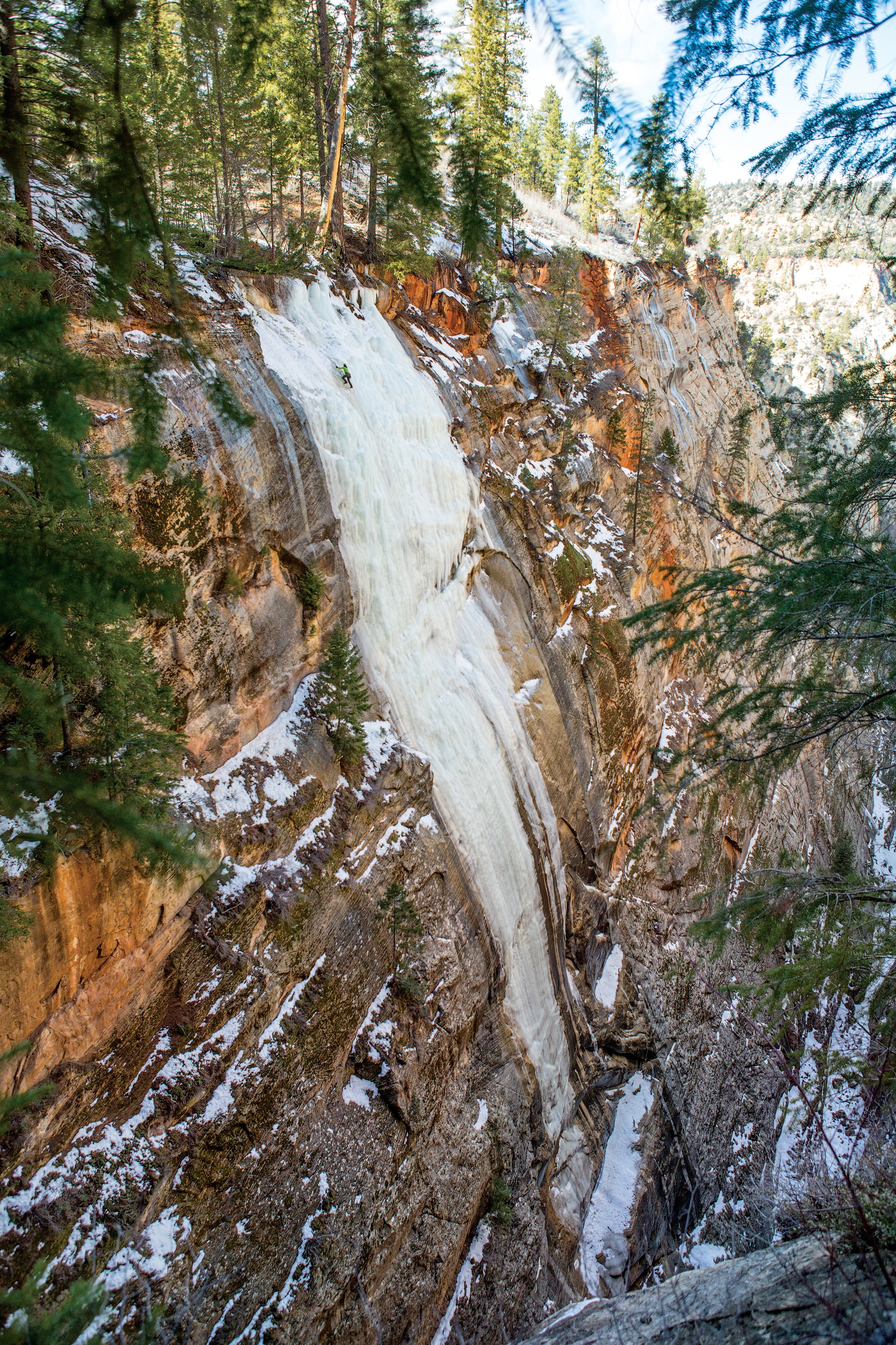 burr021014_529_gn.jpg None